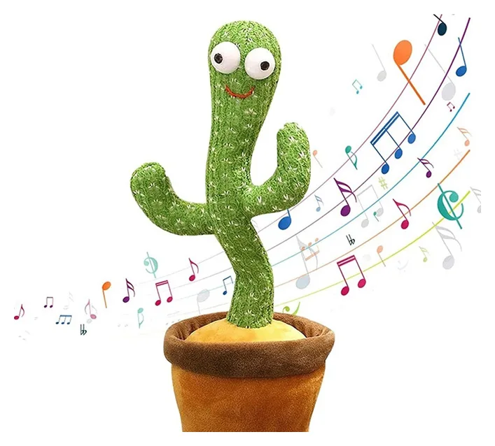 Cactus Bailarin Clasico Sin Caja